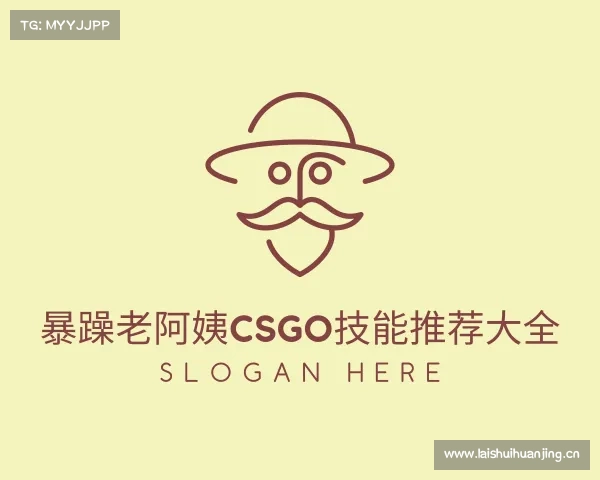 了解暴躁老阿姨csgo技能推荐大全入口